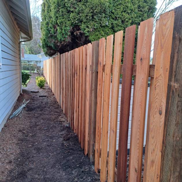 WhatsApp Image 2025-10-13 at 2.34.31 AM