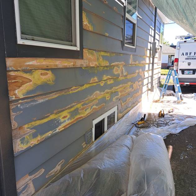 WhatsApp Image 2025-10-13 at 2.34.33 AM (5)