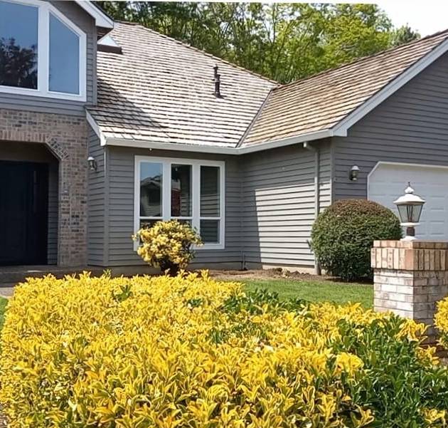 WhatsApp Image 2025-10-13 at 2.34.33 AM (6)