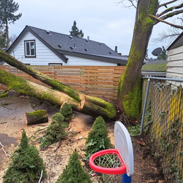 WhatsApp Image 2025-10-13 at 2.34.34 AM (1)