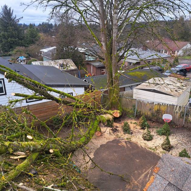 WhatsApp Image 2025-10-13 at 2.34.34 AM (2)